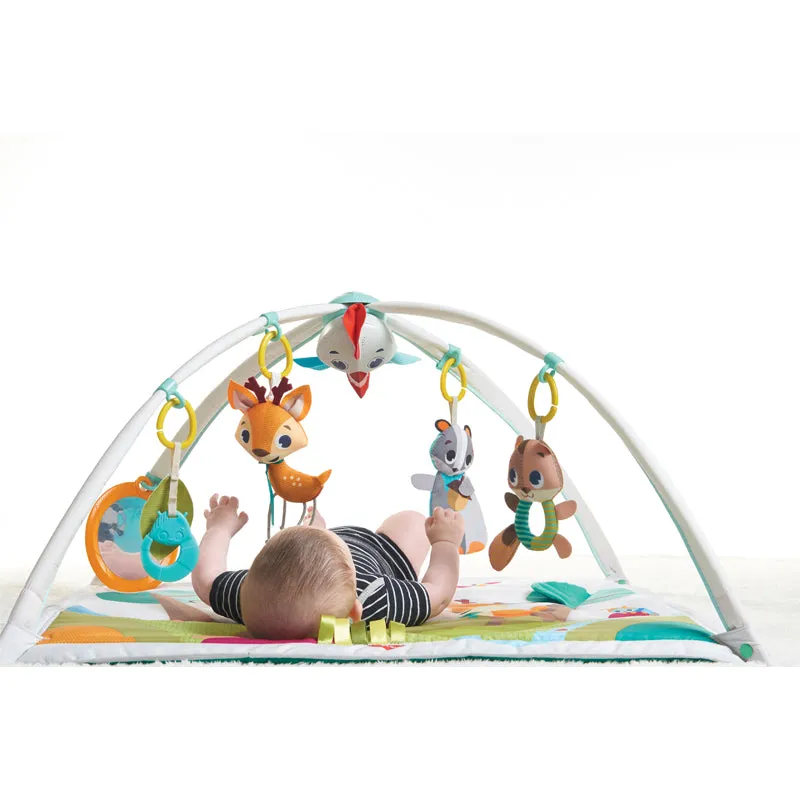 Tiny Love Deluxe Gymini Into The Forest Gym