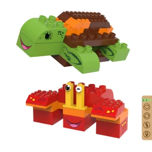 Turtle and Crab