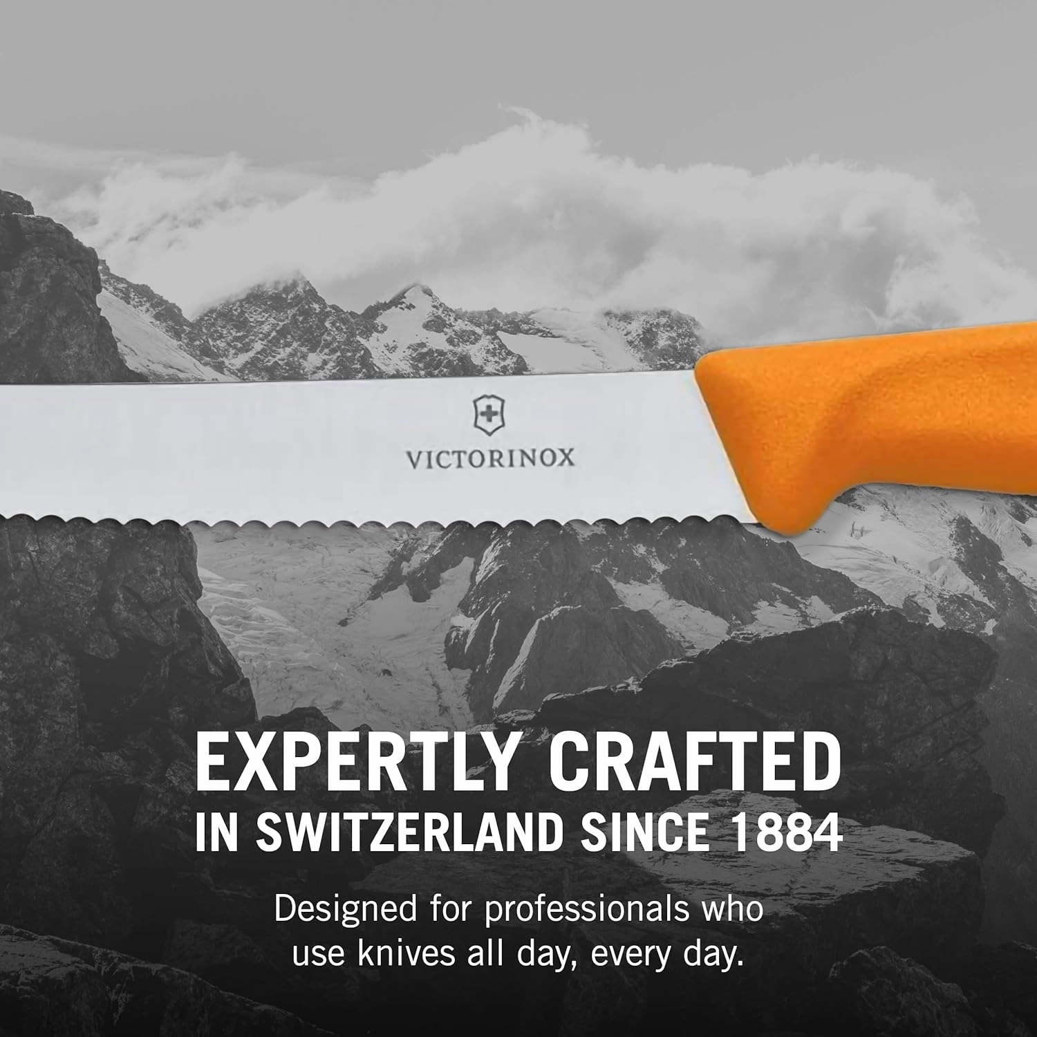 Victorinox Swiss Classic Multicolored 4-Piece Paring Knife Set