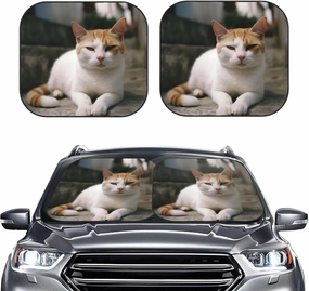 Windshield Sun Shade Foldable Car Front Window Sun Shield Visor Protector Keeps Interior Cool Cat on Steps Sun Visor Reflector Sunshade Offers Ultimate Protection for Car Interior Medium