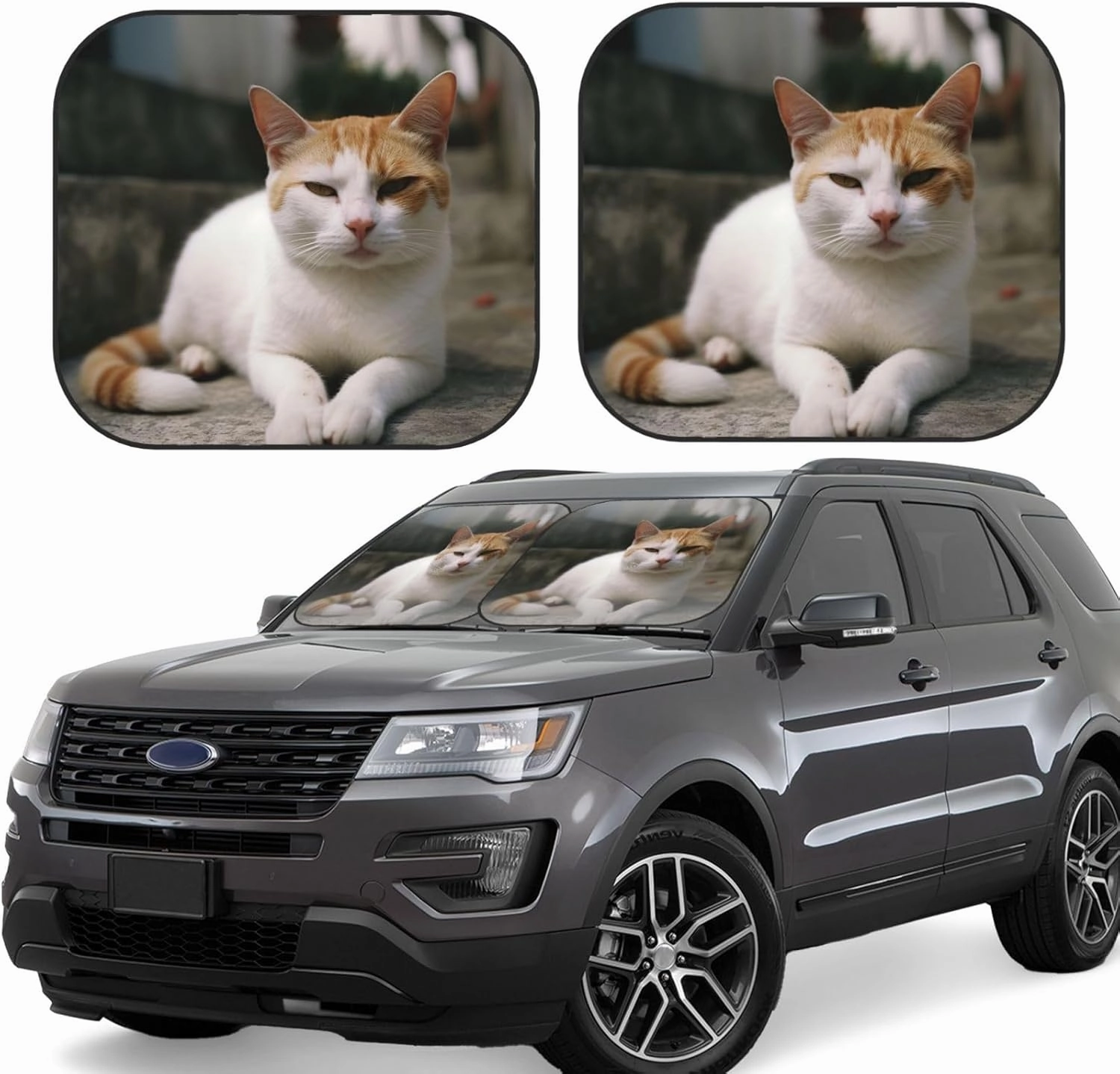 Windshield Sun Shade Foldable Car Front Window Sun Shield Visor Protector Keeps Interior Cool Cat on Steps Sun Visor Reflector Sunshade Offers Ultimate Protection for Car Interior Medium